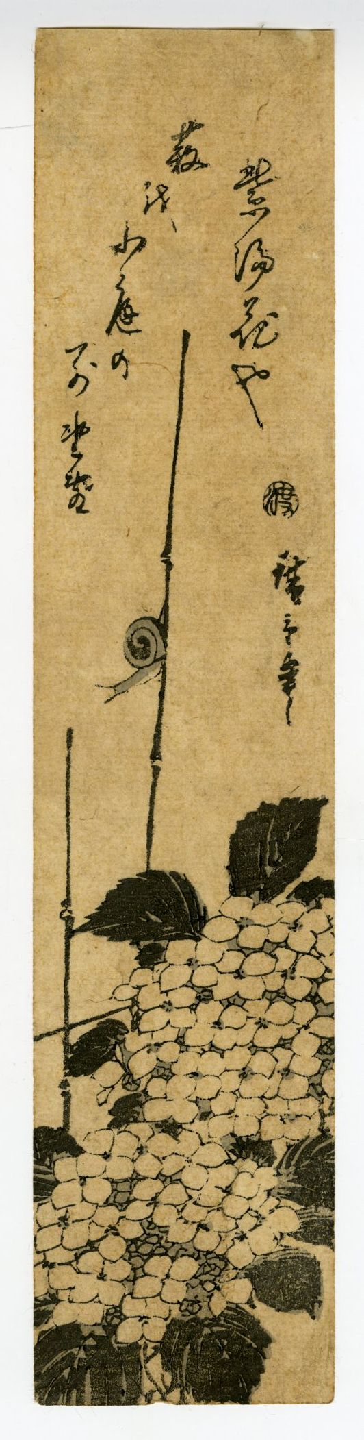 ひろしげ 広重(ひろしげ) - 短冊 紫陽花に蝸牛 - 浮世絵販売 - 浮世絵