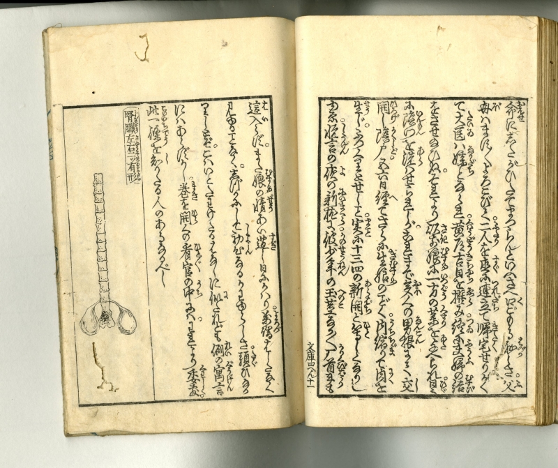 英泉(えいせん) 閨中紀聞枕文庫 第四輯上下巻（2冊セット） 春画販売 浮世絵ぎゃらりい秋華洞