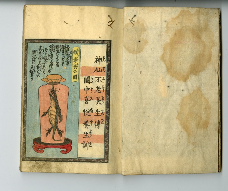 英泉(えいせん) 閨中紀聞枕文庫 第四輯上下巻（2冊セット） 春画販売 浮世絵ぎゃらりい秋華洞