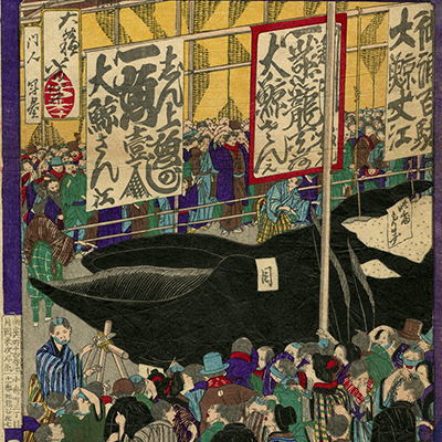 芳年(よしとし) - 金太郎捕鯉図 - 浮世絵販売 - 浮世絵ぎゃらりい秋華洞