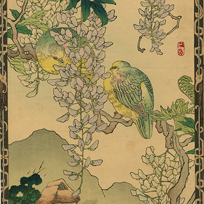 浮世絵 白花サフラン 幸野楳嶺作「現品処分セール価格」 幸野楳嶺(こうのばいれい) - 楳嶺花鳥画譜 草綿 真鶴 - 浮世絵販売