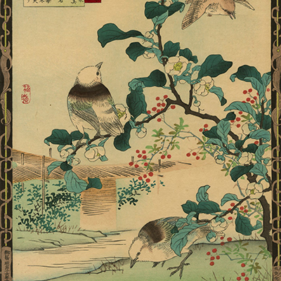 TOP － 浮世絵ぎゃらりい秋華洞