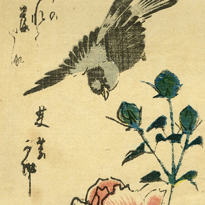 TOP － 浮世絵ぎゃらりい秋華洞