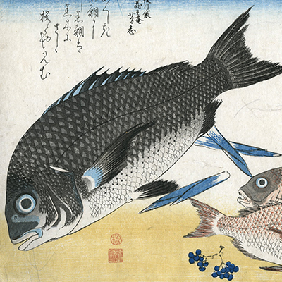 TOP － 浮世絵ぎゃらりい秋華洞