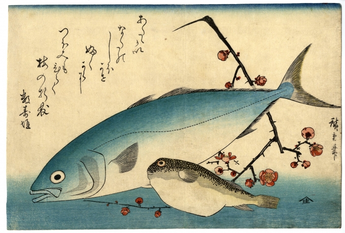 広重 ひろしげ 魚づくし いなだ ふぐに梅 浮世絵販売 浮世絵ぎゃらりい秋華洞