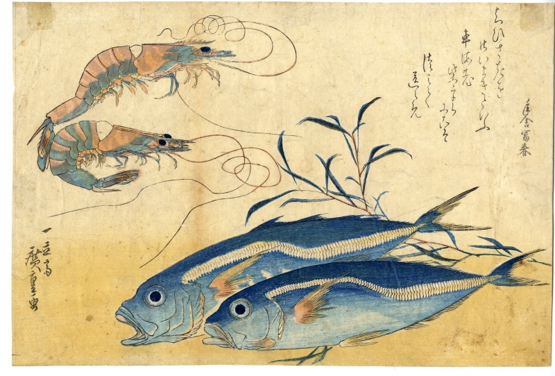 広重 ひろしげ 魚づくし 車海老 鯵にたで 浮世絵販売 浮世絵ぎゃらりい秋華洞