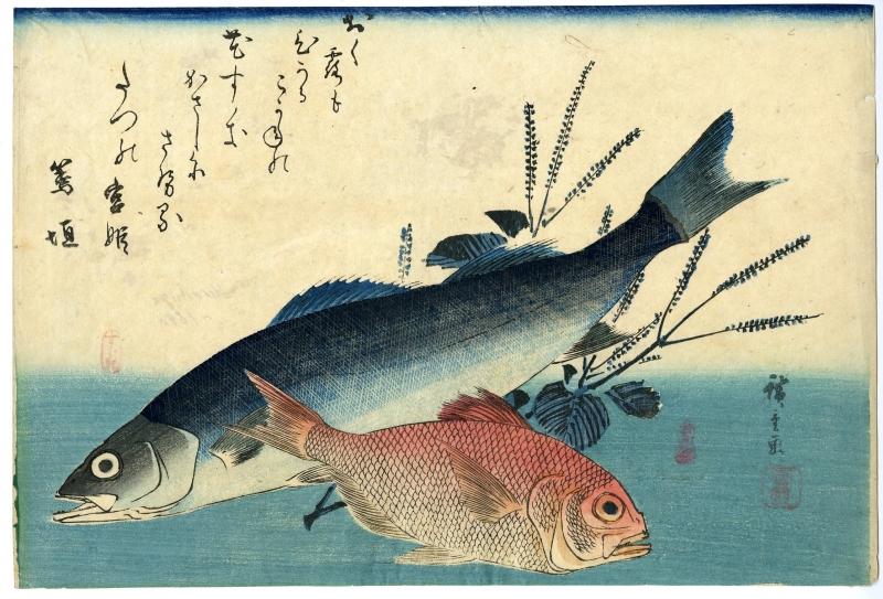 広重 ひろしげ 魚づくし すずき 金目鯛にしそ 浮世絵販売 浮世絵ぎゃらりい秋華洞