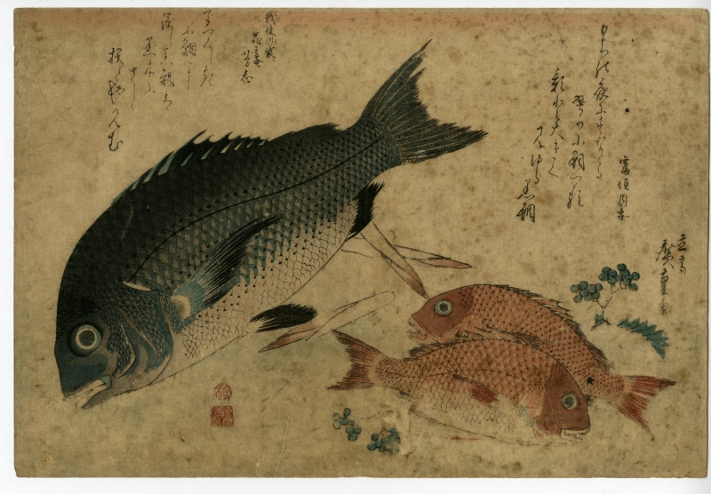 広重 ひろしげ 魚づくし 黒鯛 小鯛に山椒 浮世絵販売 浮世絵ぎゃらりい秋華洞