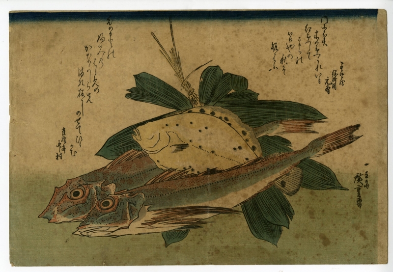 広重 ひろしげ 魚づくし かながしら 鰈に笹 浮世絵販売 浮世絵ぎゃらりい秋華洞