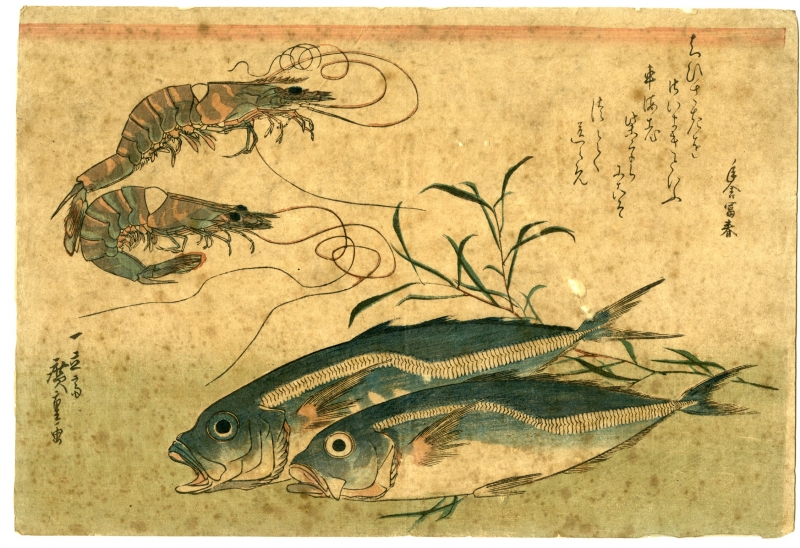 広重 ひろしげ 魚づくし 車海老 鯵にたで 浮世絵販売 浮世絵ぎゃらりい秋華洞