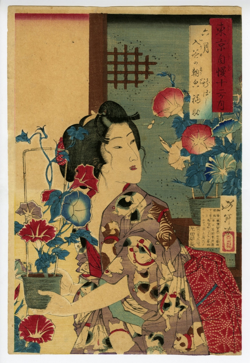 芳年 よしとし 東京自慢十二ヶ月 六月 入谷の朝顔 浮世絵販売 浮世絵ぎゃらりい秋華洞