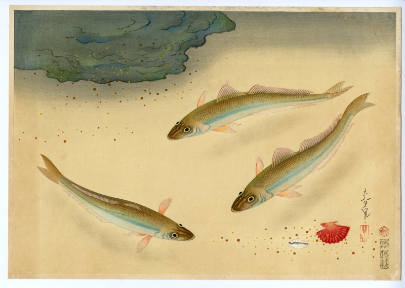 大野麦風(おおのばくふう) - 大日本魚類画集 キス - 新版画販売
