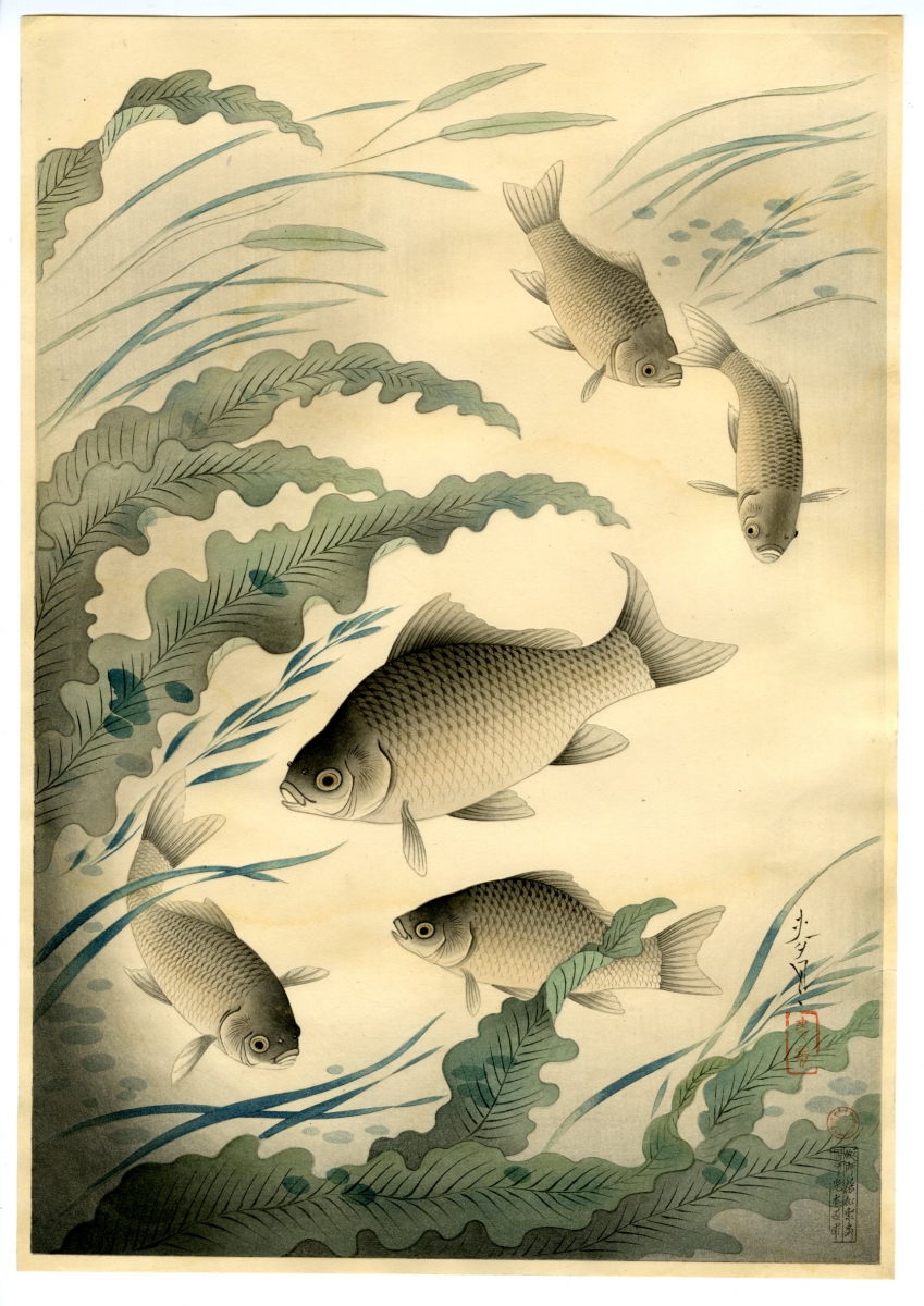 純正正規「大日本魚類画集」 大野麦風 大野麥風 木版画 原色木版二百度手摺り 木版画