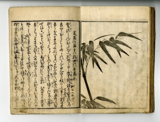 春潮() - 艶本千夜多女志 - 春画販売 - 浮世絵ぎゃらりい秋華洞
